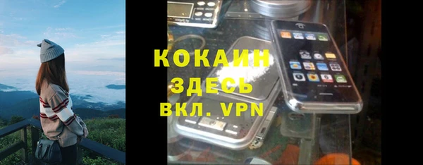 кокс Алексин