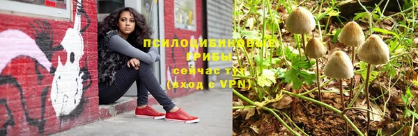 молекула духа Алексеевка
