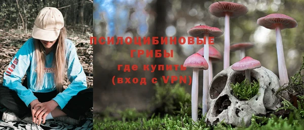 молекула духа Алексеевка