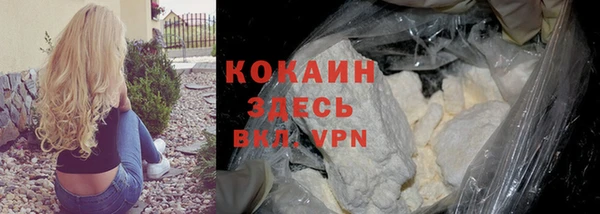 apvp Алзамай