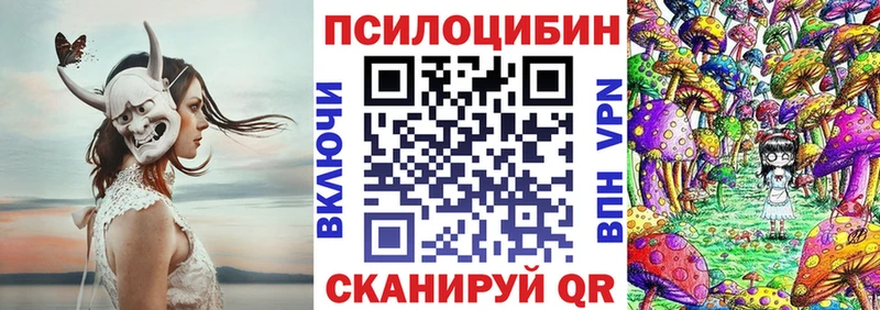 Галлюциногенные грибы Psilocybine cubensis  наркота  Тайшет 